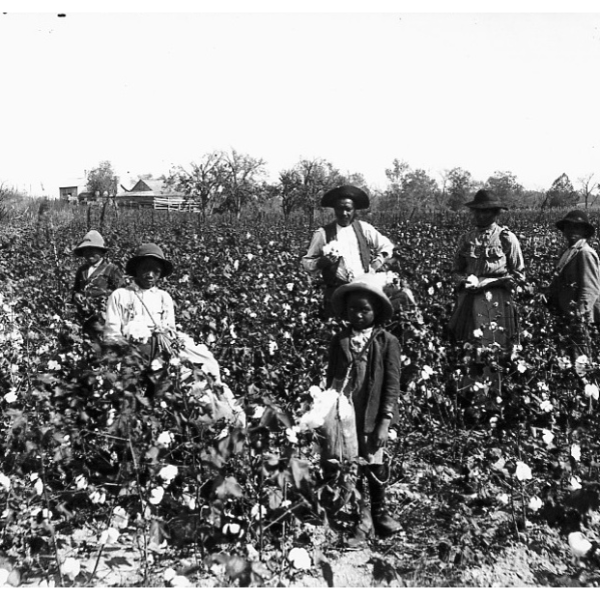 Oppressi ed Oppressori: La Nascita delle&nbsp;Rime